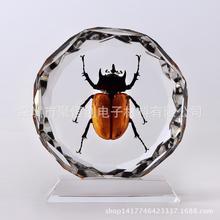 别再迷信花里胡哨的 UI!刘庆峰拆解AI真正的产品审美 90% 产品经理都搞错了