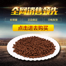 射箭图片