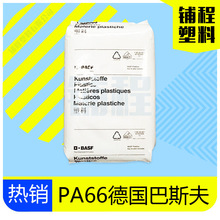 卡普空算不算最尊重中国玩家的厂商?配音太良心